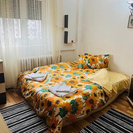 בוזאו Apartament Cornelia מראה חיצוני תמונה